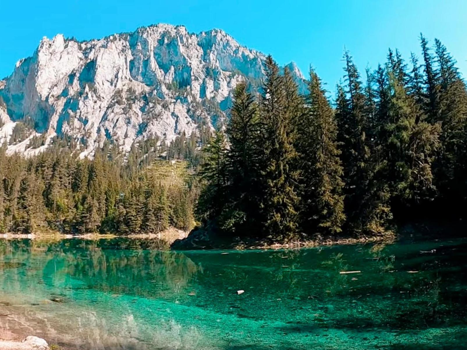 Gruener See Exklusiv Oberort Dış mekan fotoğraf