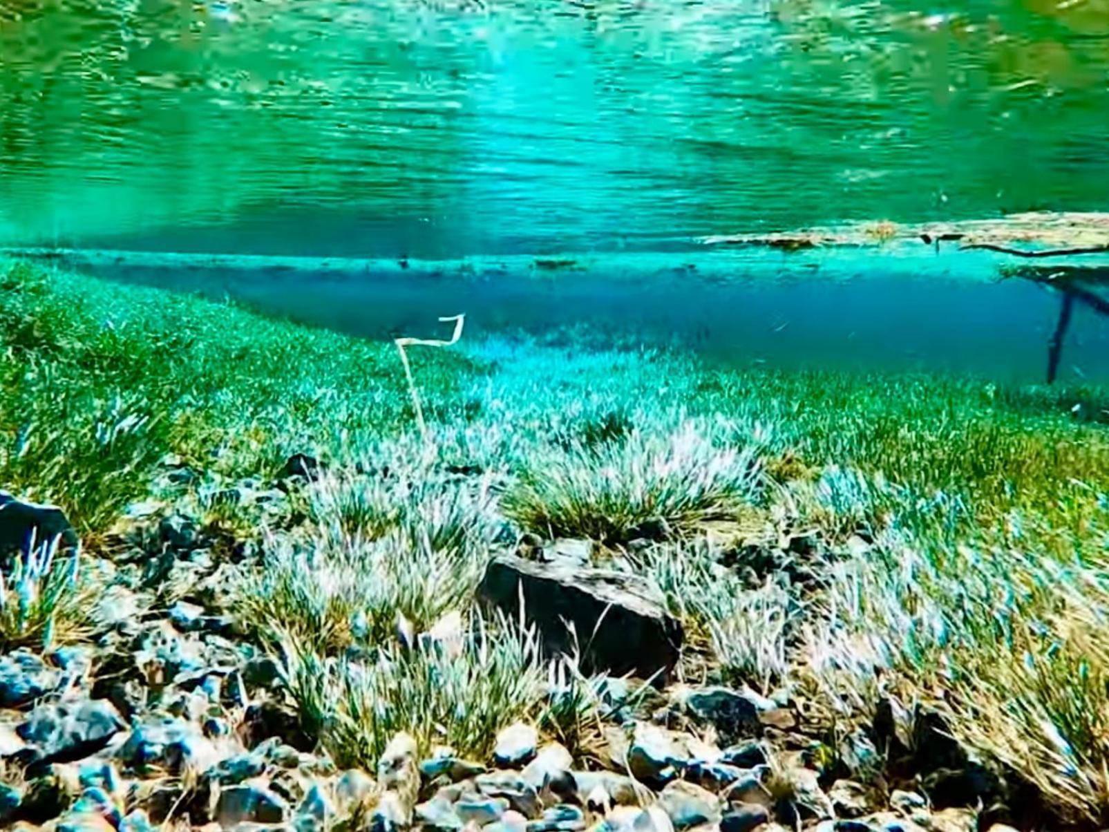 Gruener See Exklusiv Oberort Dış mekan fotoğraf