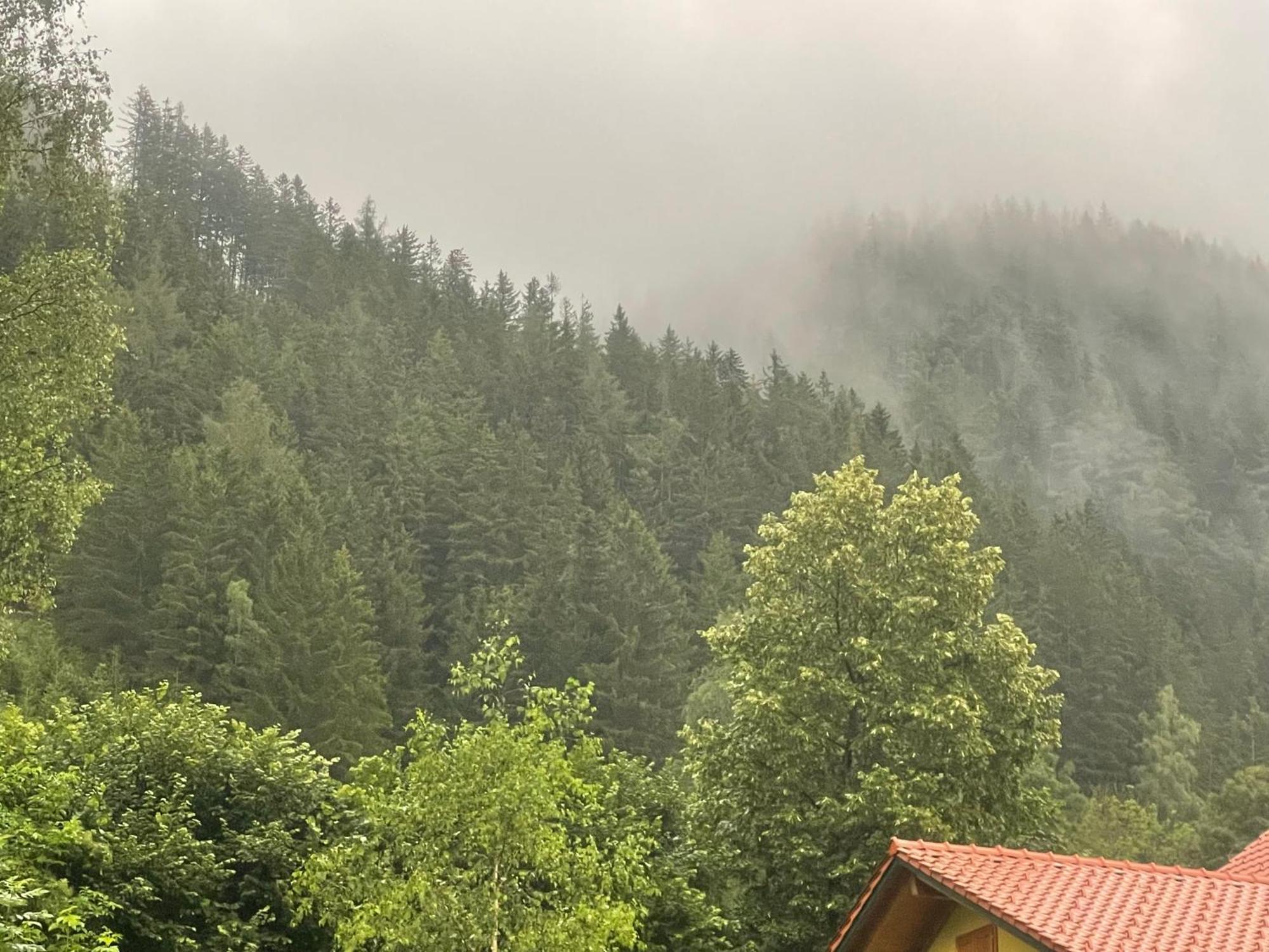 Gruener See Exklusiv Oberort Dış mekan fotoğraf