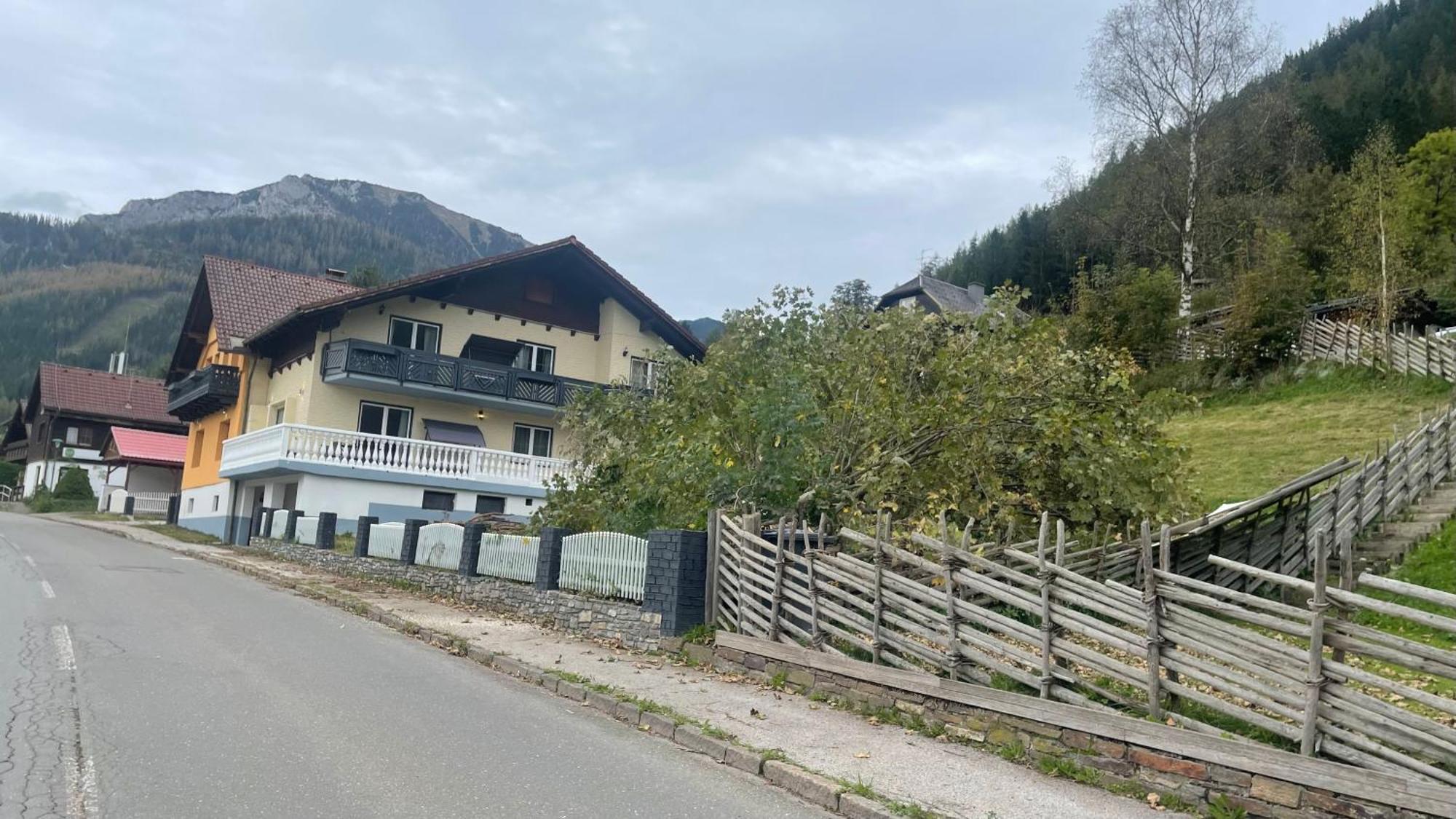 Gruener See Exklusiv Oberort Dış mekan fotoğraf